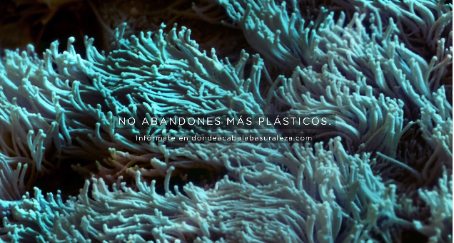 Nueva campaña contra el abandono de plásticos liderada por SEO/BirdLife y Ecoembes