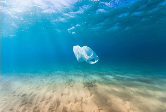 Bolsa plástica en el océano